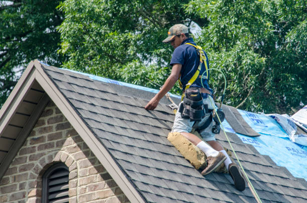 Best Roof Maintenance Services  in Roselle, NJ